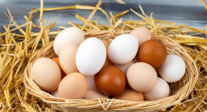 Salud: conocé los beneficios que tienen los huevos en tu dieta diaria