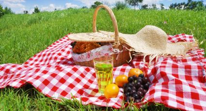 Recetas: aprovechá esta primavera con el mejor picnic