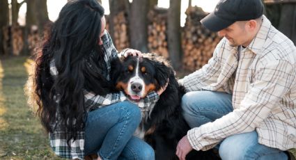 Estas son las mascotas más adorables y menos guardianas