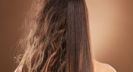 Cabello: conocé las alternativas naturales para controlar el frizz