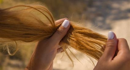 Cabello: 2 poderosas recetas para nutrirlo desde la raíz hasta las puntas