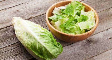 Lechuga mantecosa o criolla: similitudes, diferencia y cuál de las dos es mejor para la salud