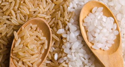 Arroz blanco o integral: similitudes, diferencias y cual es realmente mejor para la salud