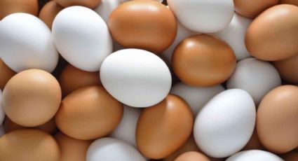 Huevos blancos o marrones: diferencia, similitudes y cuál de los dos es mejor para la salud