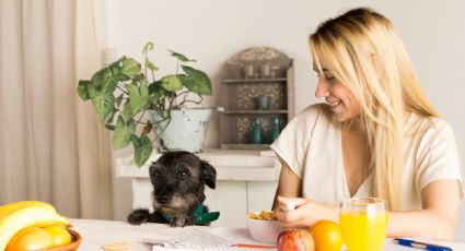 Las frutas y verduras que pueden hidratar a tus mascotas