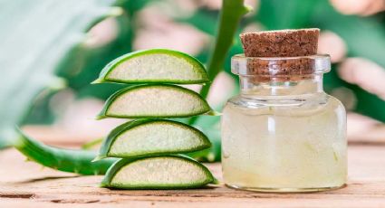 Por qué se recomienda tomar jugo de aloe vera, todos los días, en ayunas