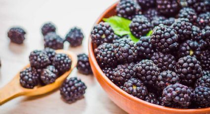 Moras: por qué se recomienda comer 100 gramos al día de esta fruta silvestre