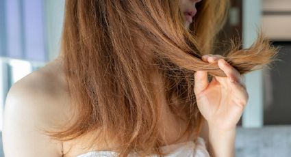 Cabello seco: 5 tratamientos para devolverle el brillo