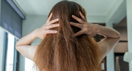 Tres mascarillas naturales efectivas para decir adiós al frizz del cabello