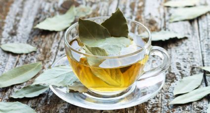 Conoce los maravillosos beneficios del té de laurel en ayunas