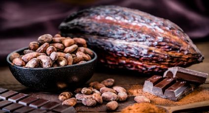 Cacao: mitos y verdades sobre este delicioso alimento