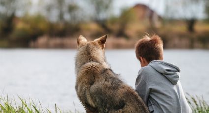 Los beneficios de tener mascotas para los niños