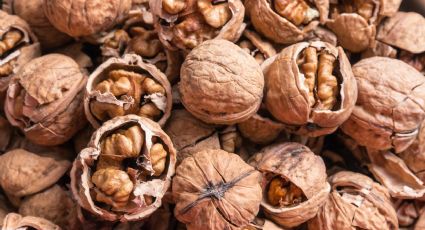 La importancia de incluir las nueces a nuestra alimentación