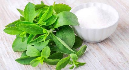 Stevia: edulcorante natural con propiedades saludables