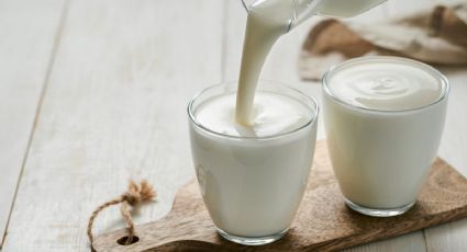 Te damos la receta para hacer yogurt casero y ahorrar mucho dinero