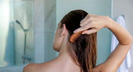 Aloe vera para tratar el cabello seco y dañado