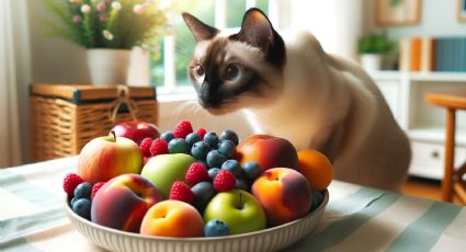 Mascotas: las frutas que pueden comer los gatos