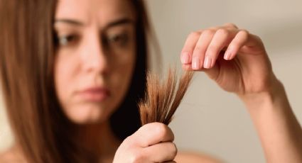 Cabello: guía practica para evitar las puntas florecidas y el frizz