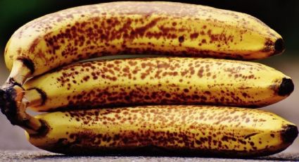 Banana: qué indican las manchas oscuras y cuándo es indicado comerlas