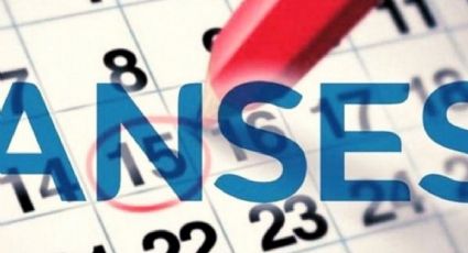 ANSES: cronograma completo para este lunes 11 de marzo