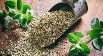 Oregano: las propiedades medicinales que no cocías de este condimento