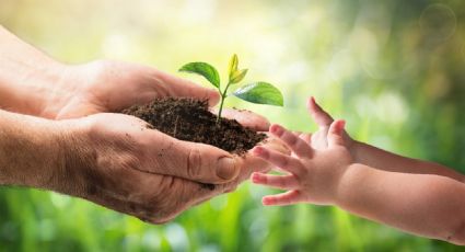 Cuida el medio ambiente con estos pequeños hábitos cotidianos y siguiendo estos consejos