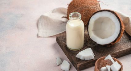 Postres con leche de coco: ideales para disfrutar de los momentos de antojo sin culpas