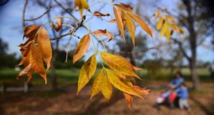 Fin del verano: cómo será el otoño 2024 para los argentinos