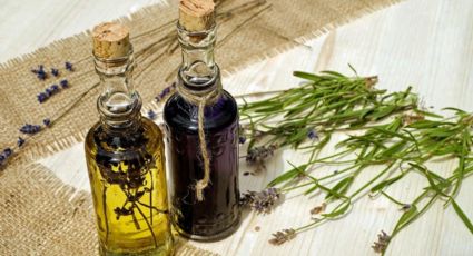 Tinturas Madre: la salvación herbal para cuidar tu salud