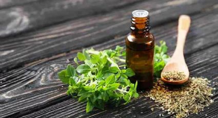 Aceite de Orégano: un remedio natural con numerosos beneficios para la salud