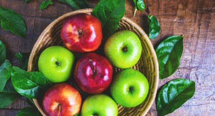 Cuáles son mejores y qué beneficios tienen las manzanas verdes y rojas