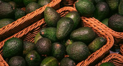 Conocé las propiedades especiales de la palta que pueden ayudar a tu salud