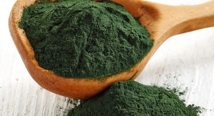 Espirulina: el alga que está de moda gracias a sus potentes e increíbles beneficios para la salud