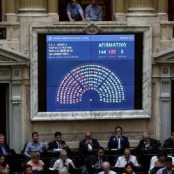 Ley Bases: continúa el debate en el Senado